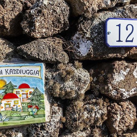 Dammuso I Pini Di Kaddiuggia Villa Campobello Ngoại thất bức ảnh