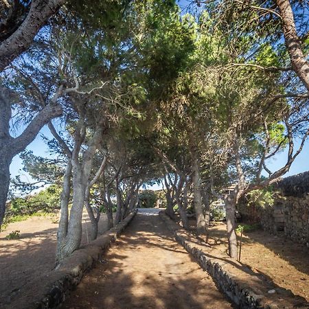 Dammuso I Pini Di Kaddiuggia Villa Campobello Ngoại thất bức ảnh
