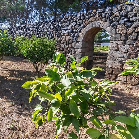 Dammuso I Pini Di Kaddiuggia Villa Campobello Ngoại thất bức ảnh